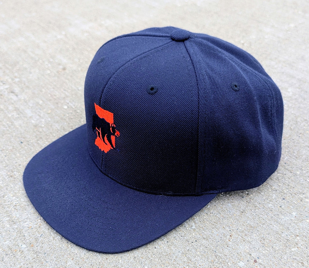 Section 219 Snapback + Hoodie Bundle