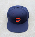 Section 219 Snapback + Hoodie Bundle